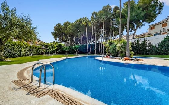 2 bedroom Apartment in Mil Palmeras - MVR159834 - Photo - 2