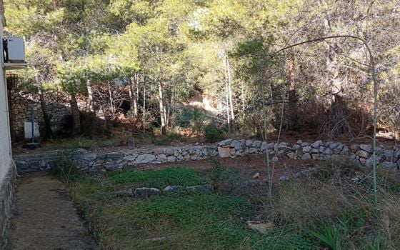Telek Calpe, - BVS159847 - Fénykép - 4