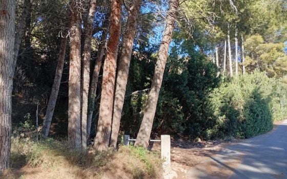 Telek Calpe, - BVS159847 - Fénykép - 3