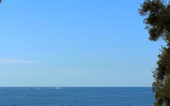 3 bedroom Apartment in Torrevieja - CI160103 - Photo - Small - 13