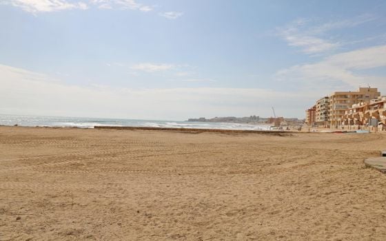 Appartement de 3 chambres à La Mata - PSA160194 - Photo - Small - 25