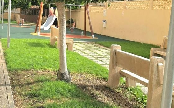 2 bedroom Apartment in Torrevieja - VEC160437 - Photo - Small - 15