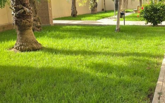 2 bedroom Apartment in Torrevieja - VEC160437 - Photo - Small - 16