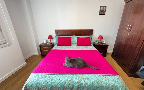 3 bedroom Apartment in Guardamar del Segura - NSP160439 - Photo - Small - 12