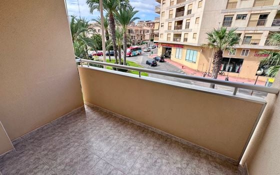 2 bedroom Apartment in Guardamar del Segura - NSP160440 - Photo - Small - 13