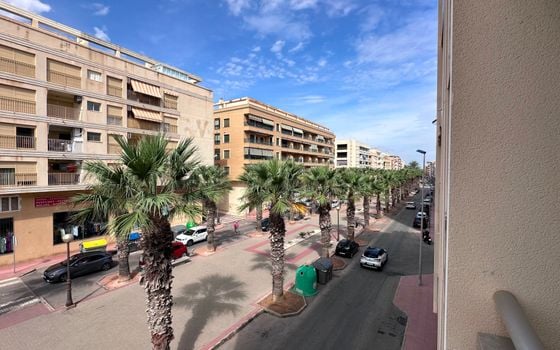 2 bedroom Apartment in Guardamar del Segura - NSP160440 - Photo - Small - 14