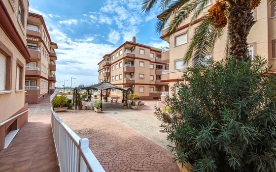 2 bedroom Penthouse in Algorfa - CCT160480 - Photo - 3