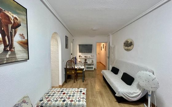 1 bedroom Apartment in Torrevieja - PPS160490 - Photo - 4