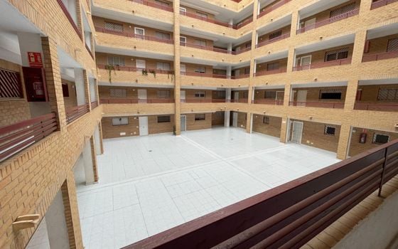 1 bedroom Apartment in Torrevieja - PPS160490 - Photo - Small - 14