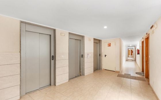 2 bedroom Apartment in Torrevieja - GVS160537 - Photo - Small - 24