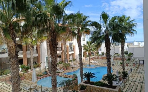 2 bedroom Apartment in Guardamar del Segura - NSP160706 - Photo - 1