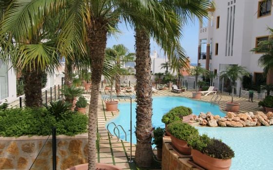 2 bedroom Apartment in Guardamar del Segura - NSP160706 - Photo - Small - 19