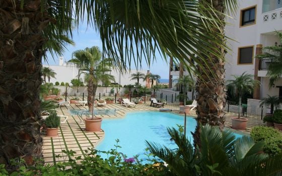 2 bedroom Apartment in Guardamar del Segura - NSP160706 - Photo - Small - 20