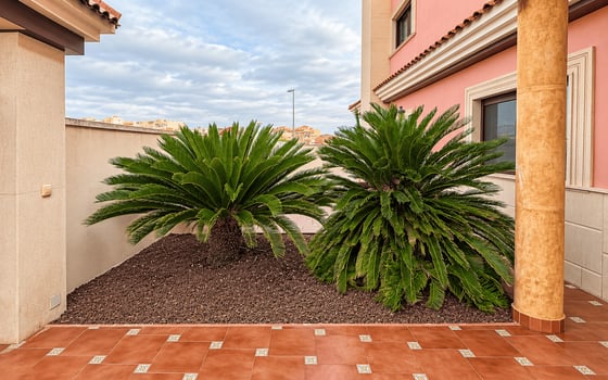 Villa de 5 chambres à San Miguel de Salinas - TT160754 - Photo - Small - 40