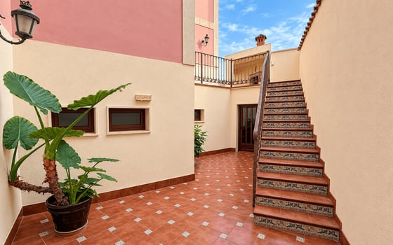 Villa de 5 chambres à San Miguel de Salinas - TT160754 - Photo - Small - 43