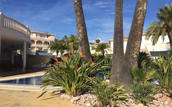 1 bedroom Apartment in Benissa - MIG160805 - Photo - Small - 22