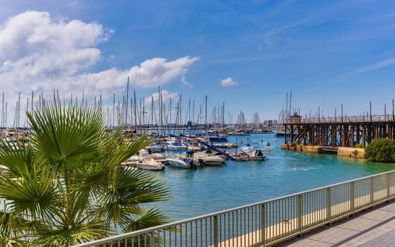 4 Schlafzimmer Appartement in Torrevieja - CYM160889 - Foto - Small - 36