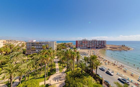 3 bedroom Apartment in Torrevieja - CYM160890 - Photo - Small - 36