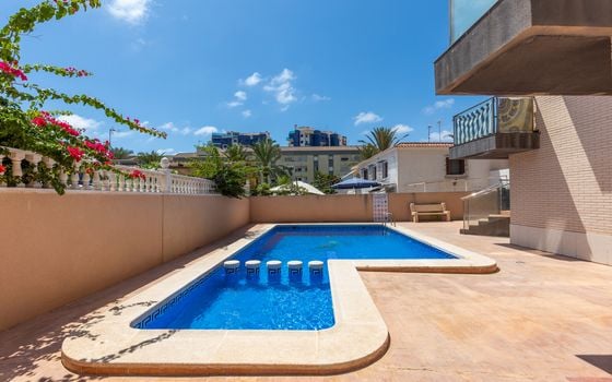 1 bedroom Apartment in Punta Prima - B160955 - Photo - 3