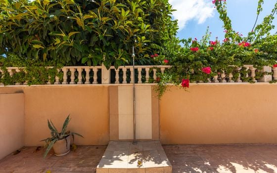 1 bedroom Apartment in Punta Prima - B160955 - Photo - Small - 22