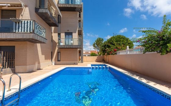 1 bedroom Apartment in Punta Prima - B160955 - Photo - 2
