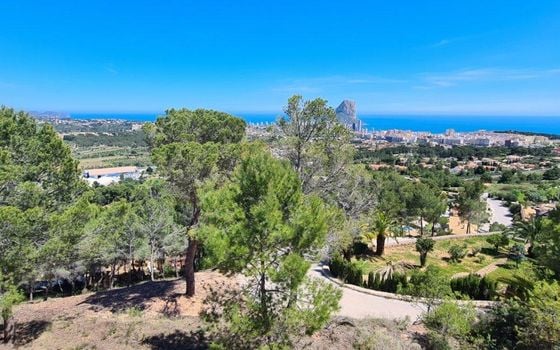Telek Calpe, - MIG161052 - Fénykép - 1