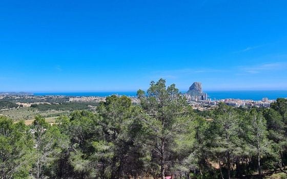 Telek Calpe, - MIG161052 - Fénykép - 2