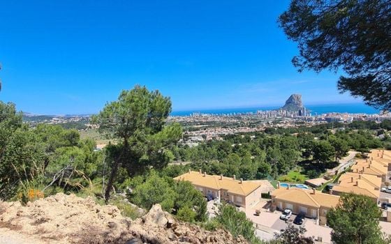 Telek Calpe, - MIG161052 - Fénykép - 3