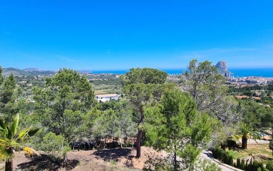Telek Calpe, - MIG161052 - Fénykép - 4