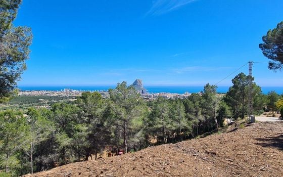 Telek Calpe, - MIG161052 - Fénykép - 5