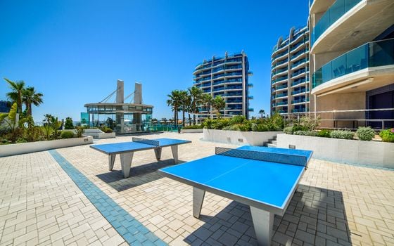 Penthouse de 2 chambres à Torrevieja - B119651 - Photo - Small - 47