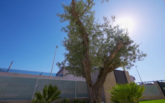 Villa de 3 chambres à Dehesa de Campoamor - AGI40768 - Photo - Small - 13