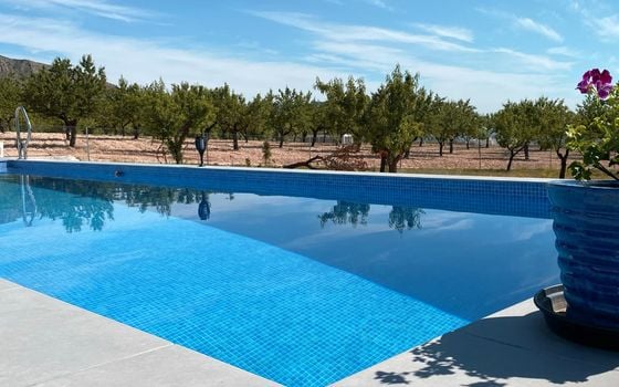 Villa de 4 chambres à Hondón de las Nieves - MBC21749 - Photo - Small - 18