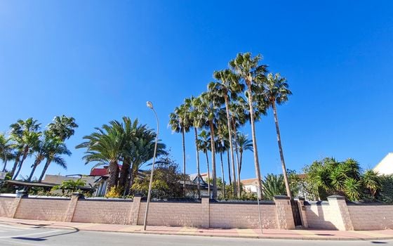 5 bedroom Villa in San Pedro del Pinatar - RP44258 - Photo - Small - 76
