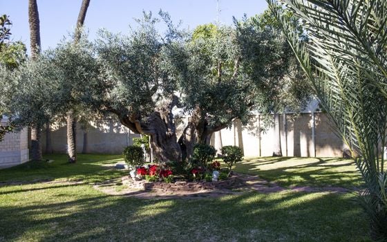 5 bedroom Villa in San Pedro del Pinatar - RP44258 - Photo - Small - 68
