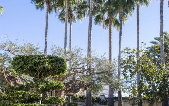 5 bedroom Villa in San Pedro del Pinatar - RP44258 - Photo - Small - 70