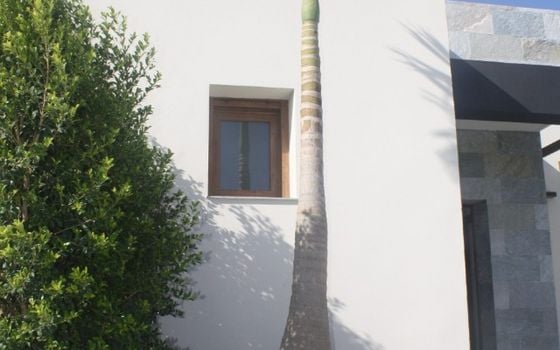 3 bedroom Villa in Los Altos - CP21255 - Photo - Small - 6