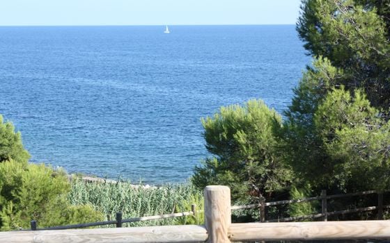 4 bedroom Villa in Benissa - DVM45929 - Photo - Small - 11