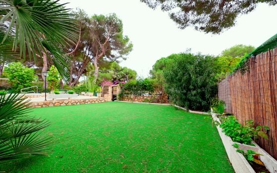 Villa de 6 chambres à Dehesa de Campoamor - W47269 - Photo - 5