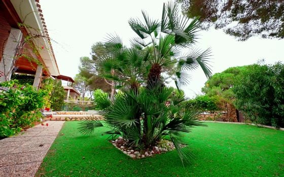 6 Schlafzimmer Villa in Dehesa de Campoamor - W47269 - Foto - Small - 6