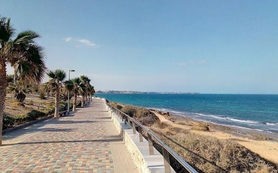 2 bedroom Villa in Pilar de la Horadada - MT47387 - Photo - Small - 8
