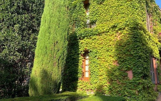 Villa de 3 chambres à Pedreguer - CZS23153 - Photo - Small - 10