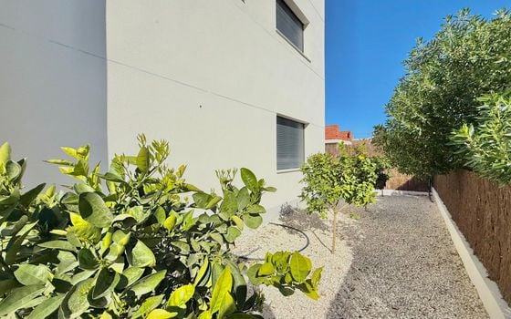 4 bedroom Villa in Ciudad Quesada - SG49945 - Photo - Small - 18
