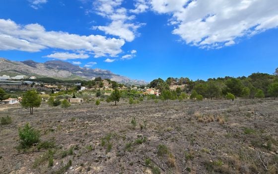  Plot in La Nucia- PX57502 - Photo - Small - 6