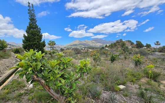  Plot in La Nucia- PX57502 - Photo - Small - 7