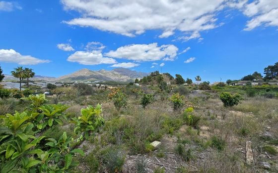  Plot in La Nucia- PX57502 - Photo - Small - 8