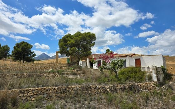  Plot in La Nucia- PX57502 - Photo - Small - 11