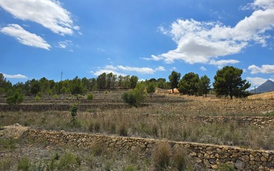  Plot in La Nucia- PX57502 - Photo - Small - 15