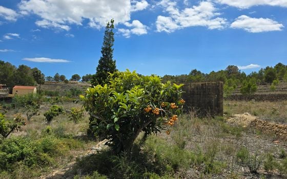  Plot in La Nucia- PX57502 - Photo - Small - 16