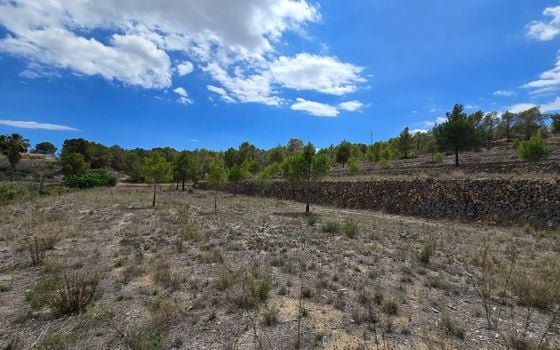  Plot in La Nucia- PX57502 - Photo - Small - 17